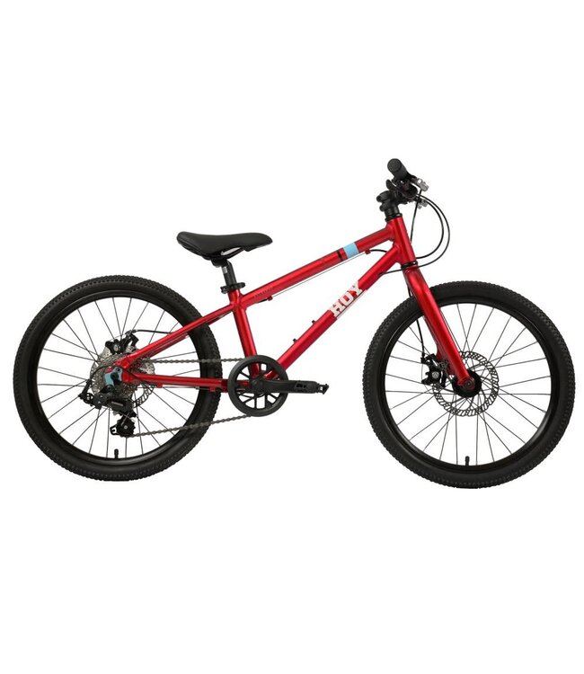 HOY Pentland 20" Kids Bike