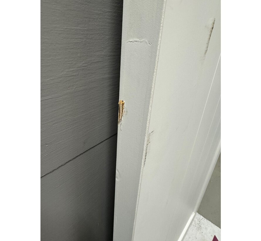 Skantrae binnendeur SKS 2510 93x211,5