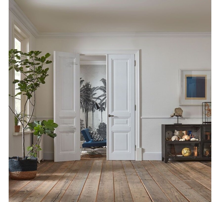 Skantrae binnendeur SKS 2243
