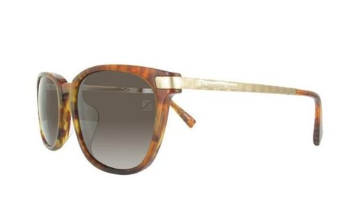ERMENEGILDO ZEGNA Ermenegildo Zegna heren zonnebril Havana Rood / Roviex ERMENEGILDO ZEGNA Ermenegildo Zegna heren zonnebril Havana Rood / Roviex