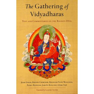 Snow Lion The Gathering of Vidyadharas - Text and Commentaries on the Rigdzin Düpa - Translated by Gyurme Avertin