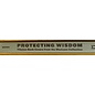 Prestel-Verlag Protecting Wisdom, by Kathrin H. Selig Brown