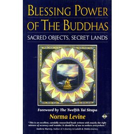 Element Books Dorset Blessing Power of the Buddhas: Sacred Objects, Secret Lands, by Norma Levine