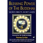 Element Books Dorset Blessing Power of the Buddhas: Sacred Objects, Secret Lands, by Norma Levine