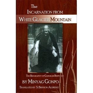 Infinity Publishing The Incarnation from the White Glacier Mountain, by Minyag Gonpo, S. Brinson Aldridge