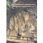Marg Publications The Flowering of a Foreign Faith, New Studies in Chinese Buddhist Art, by Janet Baker