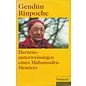 Theseus Verlag Herzensunterweisungen eines Mahamudra-Meisters, von Gendun Rinpoche