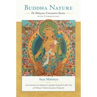 Snow Lion Publications Buddha Nature, with commentary and explanation by Jamgön Kongtrul Lodro Thaye and Khenpo Tsultrim Gyamtso Rinpoche, by Arya Maitreya