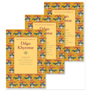 Shambhala The Collected Works of Dilgo Khyentse, 3 Volumes, by Matthieu Ricard and Vivan Kurz