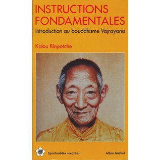 Editions Albin Michel Paris Instructions Fondamentales, Introduction au bouddhisme Vajrayana, par Kalou Rinpotche