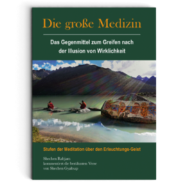 Manjughosha Edition Die Grosse Medizin, von Shechen Gyaltsap Gyurme Pema Namgyal