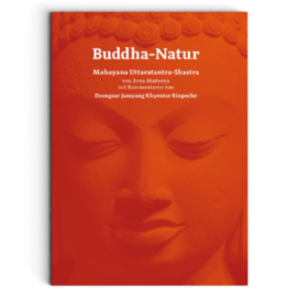 Manjughosha Edition Buddha-Natur, von Arya Maitreya und Dzongsar Jamyang Khyentse Rinpoche
