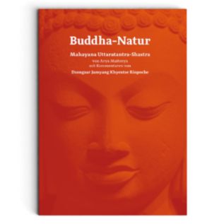 Manjughosha Edition Buddha-Natur, von Arya Maitreya und Dzongsar Jamyang Khyentse Rinpoche