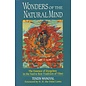 Station Hill Press Wonders of the Natural Mind, by Tenzin Wangyal