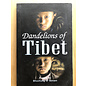 Winsome Books, Delhi Dandelions of Tibet, Poems by Bhuchung D Sonam