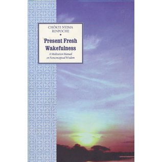 Rangjung Yeshe Publications Present Fresh Wakefulness, by Chökyi Nyima Rinpoche