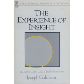 Shambhala The Experience of Insight, by Joseph Goldstein