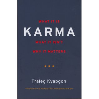 Shambhala What is Karma? What isn't? Why it matters, by Traleg Kyabgon