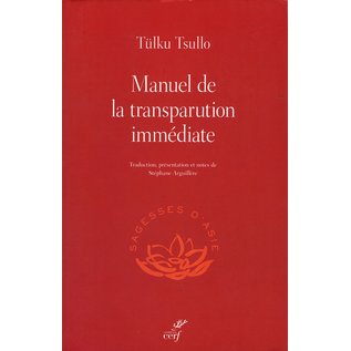 Cerf, Paris Manuel de la transparution immédiate, par Tülku Tsullo, Stéphane Arguillère