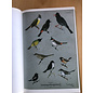 Nimrod Press, Hampshire The Birds of Burma, by B.E. Smythies