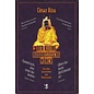 Matthes & Seitz, Berlin Der Kleine Buddhistische Mönch, von César Aira