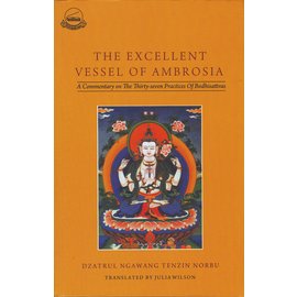 LTWA The Excellent Vase of Ambrosia, by Dzatrul Ngawang Tenzin Norbu, Julia Wilson