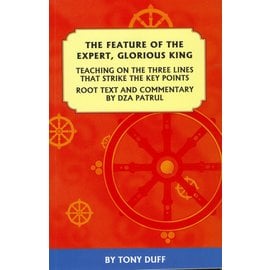 Padma Karpo Translation Committee The Feature of the Expert, Glorious King, by Dza Patrul, Tony Duff