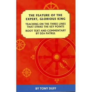 Padma Karpo Translation Committee The Feature of the Expert, Glorious King, by Dza Patrul, Tony Duff