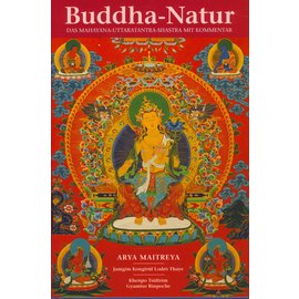 Khampa Edition, Freiburg Buddha-Natur, von Arya Maitreya, Jamgön Kongtrul Lodro Thaya, Khenpo Tsültrim Gyamtso Rinpoche