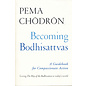 Shambhala Becoming Bodhisattvas, A Guidebook for Compassionate Action