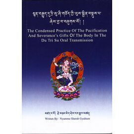 Editions Dzongchen Woesel Ling The Condensed Practice Of The Pacification And Severance, by Nyamme Sherab Gyalten