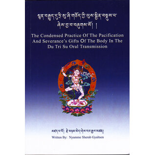 Editions Dzongchen Woesel Ling The Condensed Practice Of The Pacification And Severance, by Nyamme Sherab Gyalten