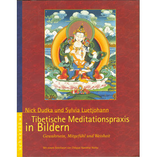 Schneelöwe Tibetische Meditationsprxis in Bildern, von Nick Dudka, Sylvia Luetjohann