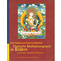 Schneelöwe Tibetische Meditationsprxis in Bildern, von Nick Dudka, Sylvia Luetjohann
