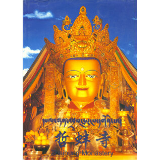 Zhaibung (Drepung) Monastery, by Lobsang Wangqug et al.