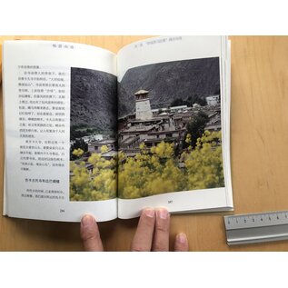 China Tibetology Publishing House Travel Guide to Shannan (Lhoka), by Rayong
