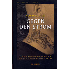 Aurum Verlag Gegen den Strom, von Noah Levine