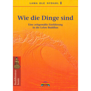 Joy Verlag Wie die Dinge sind: Eine zeitgemässe Einführung in die Lehre Buddhas