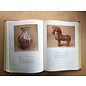 Sun Tree Publications, Singapore Spirit of Han: Ceramics for the Afterlife, by Aileen Lau