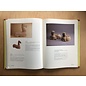 Sun Tree Publications, Singapore Spirit of Han: Ceramics for the Afterlife, by Aileen Lau