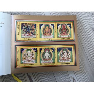 Gansu People's Fine Arts Publishing House Complete Collection of Tibetan Buddhist Deities, by Martin Brauen, Martin Wilson