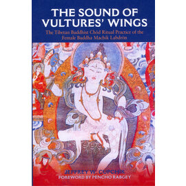 State University of New York Press (SUNY) The Sound of the Vulture Wings, by Jeffrey W. Cupchik