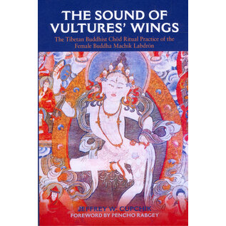 State University of New York Press (SUNY) The Sound of the Vulture Wings, by Jeffrey W. Cupchik