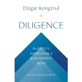 Shambhala Diligence, by Dzigar Kongtrul