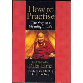 Rider London How to Practice: The Way to a Meaningful Life, by H.H. the Dalai Lama, Jeffrey Hopkins
