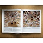 Sichuan Nationalities Publishing House Collection of Tibetan Fine Art (40): Painting Art: Thangka Volume 1