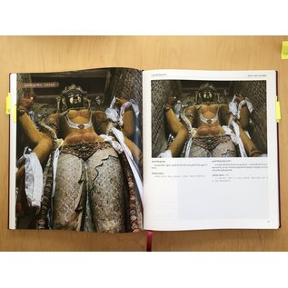 Sichuan Nationalities Publishing House Collection of Tibetan Fine Art (30): Painting Art: Fresco, Ladakh and Other Region