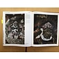 Sichuan Nationalities Publishing House Collection of Tibetan Fine Art (30): Painting Art: Fresco, Ladakh and Other Region