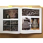 Sichuan Nationalities Publishing House Collection of Tibetan Fine Art (17): Theory and Sutra Classics
