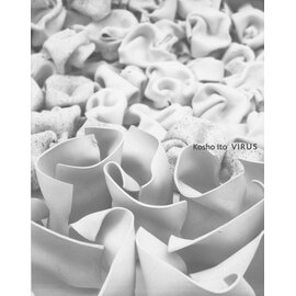 Tate, St. Ives Virus, by Kosho Ito